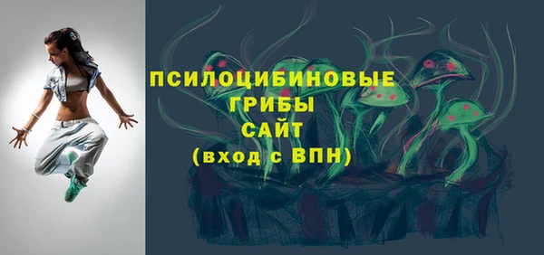 ECSTASY Абаза