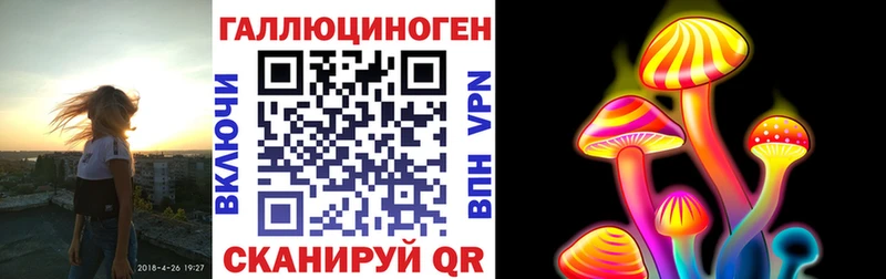 где можно купить наркотик  Североморск  Псилоцибиновые грибы Magic Shrooms 